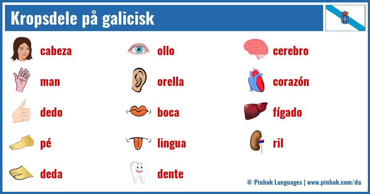 Kropsdele på galicisk