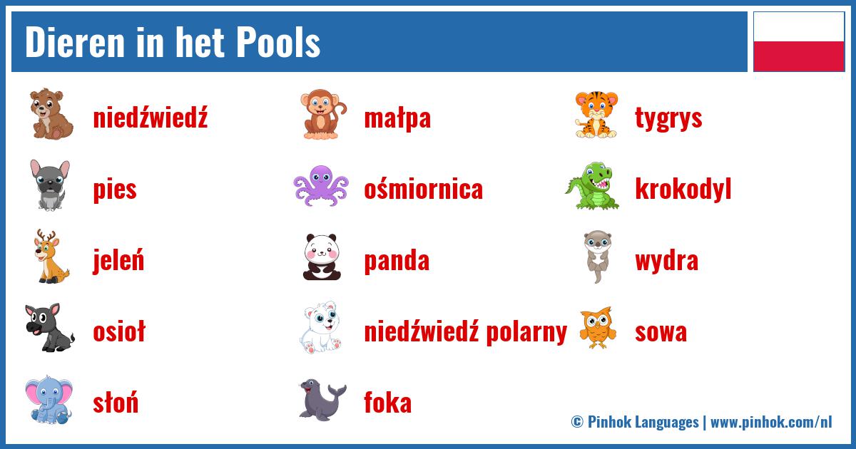 Dieren in het Pools