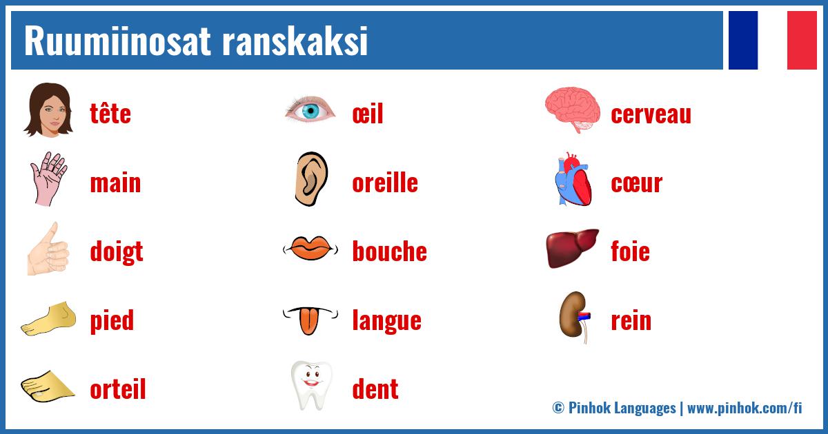 Ruumiinosat ranskaksi