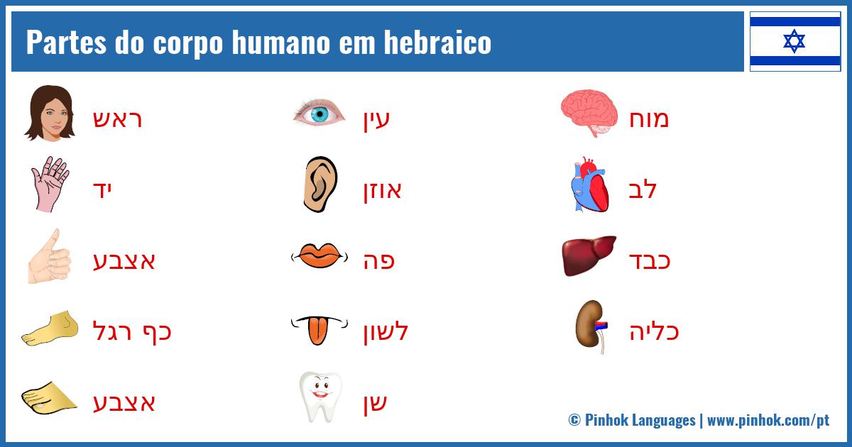 Partes do corpo humano em hebraico
